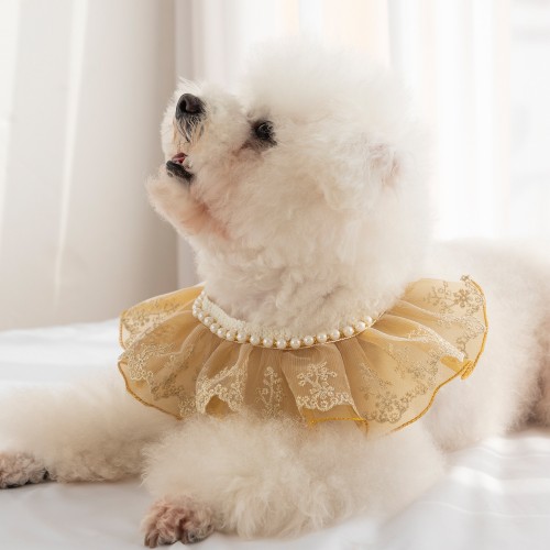 Cute Lace Necklace With Faux Peal Decor For Pets, Princess Style Necklace Perfect Photo Props Pet Jewelry Accessories